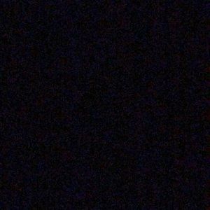 Meet your Posher, Ray